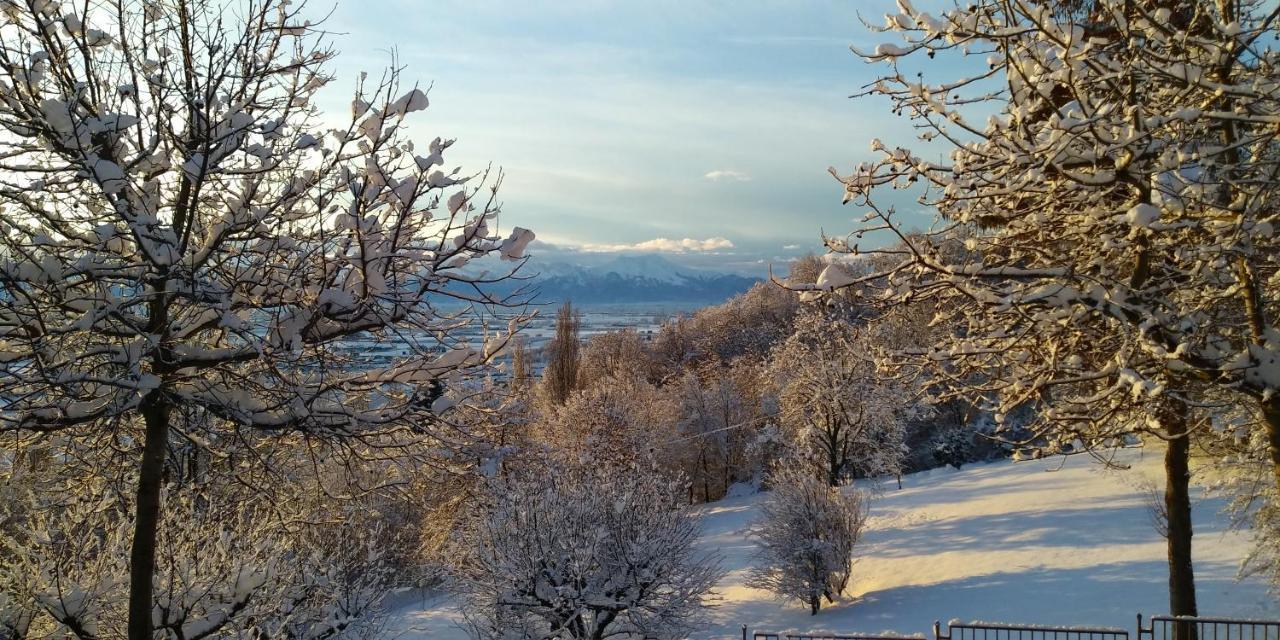 L'Albore Costigliole Saluzzo Exteriér fotografie