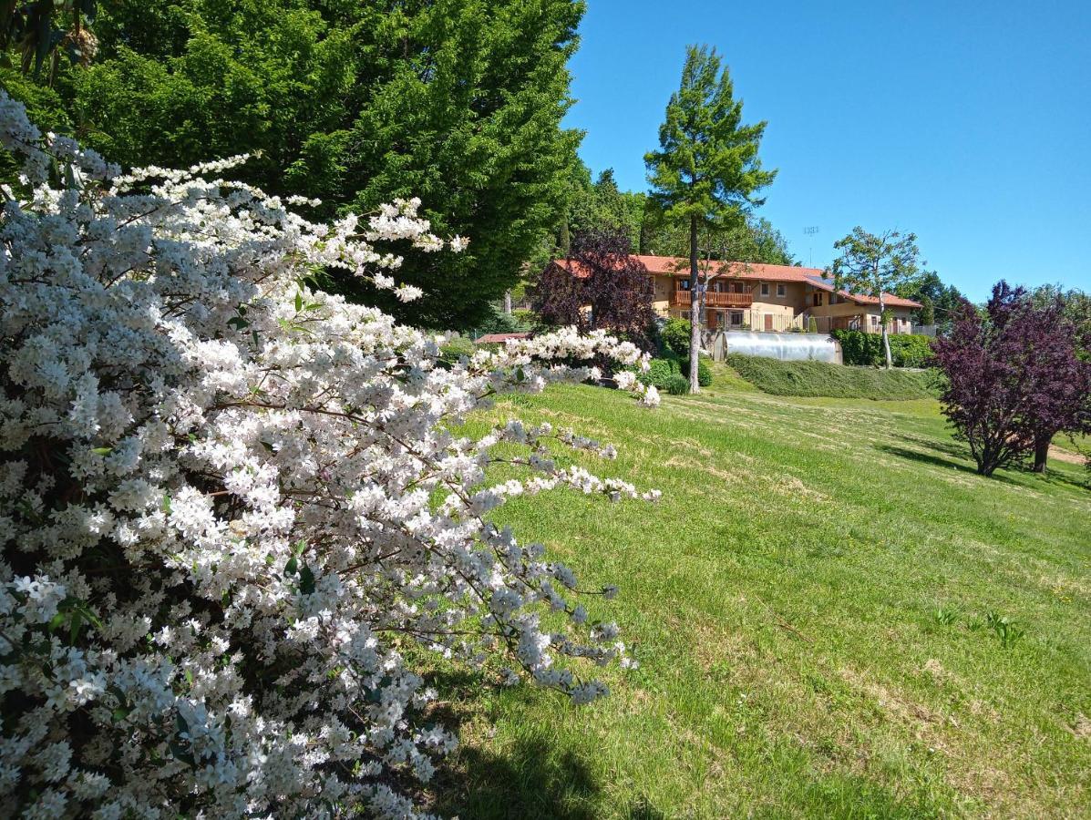 L'Albore Costigliole Saluzzo Exteriér fotografie